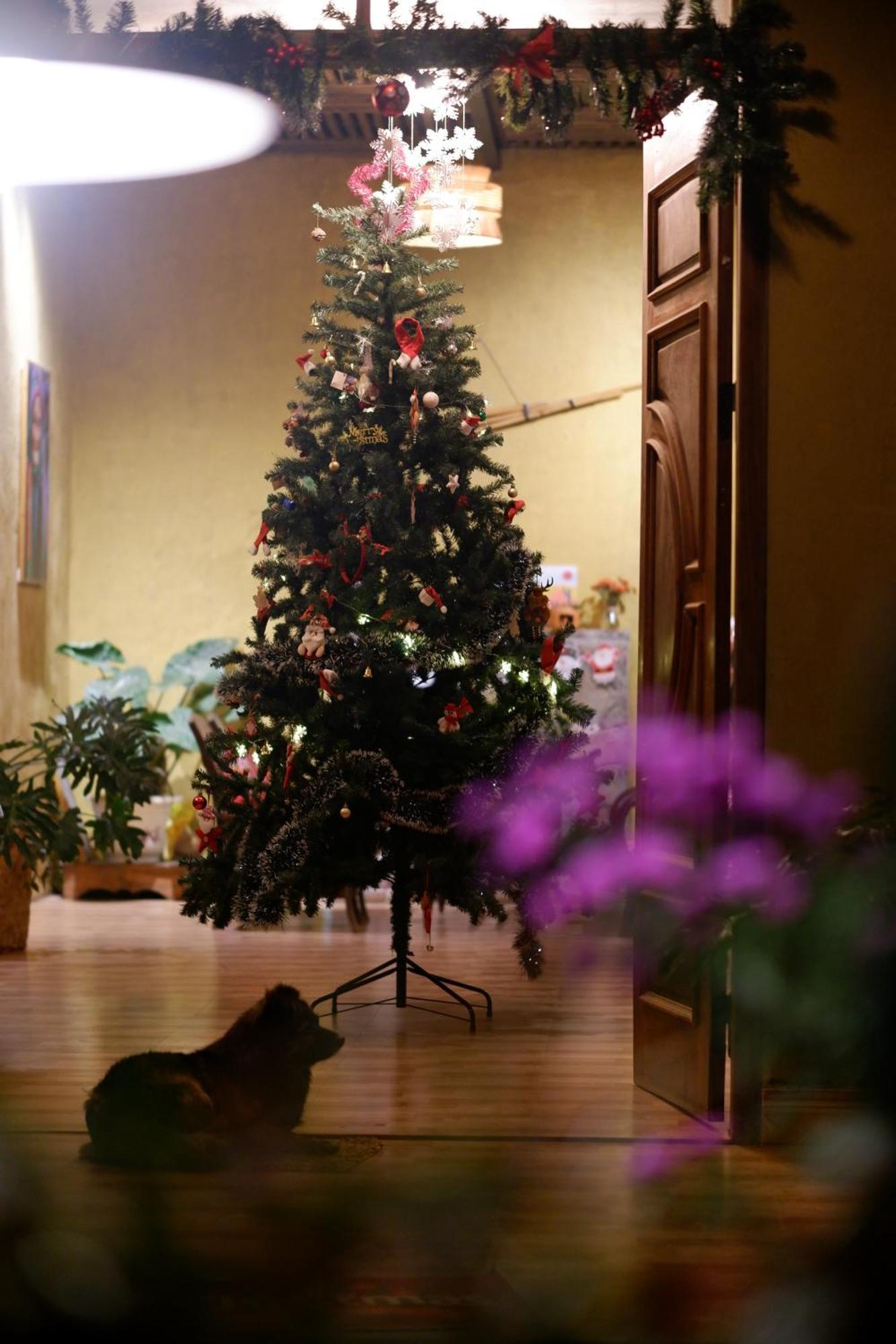 דונג ואן Maison De Hill Home מראה חיצוני תמונה